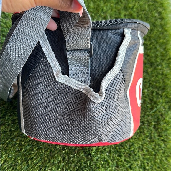 Raising Canes mini cooler lunch box lunch carrier insulated lining - Picture 4 of 7